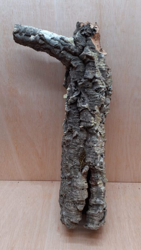 Small Cork Tube - 40-60cm - 3