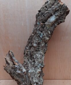 Small Cork Tube - 40-60cm - 4