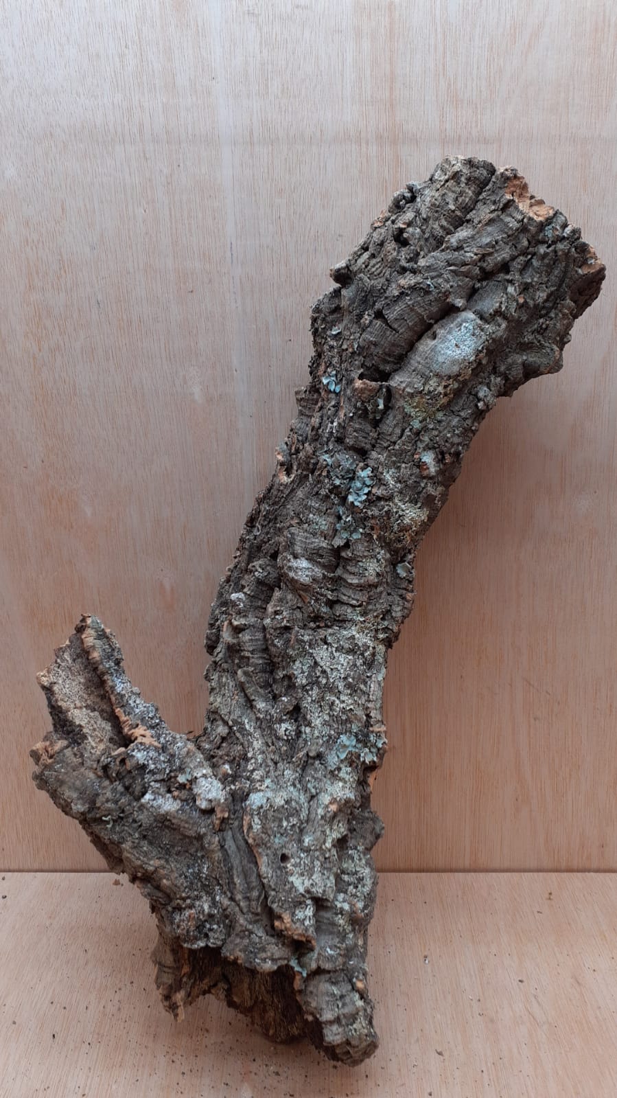 Small Cork Tube - 40-60cm - 4