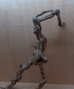 Sandblasted Grapevine - XL 5