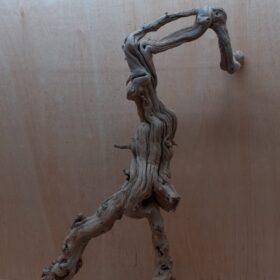 Sandblasted Grapevine - XL 5