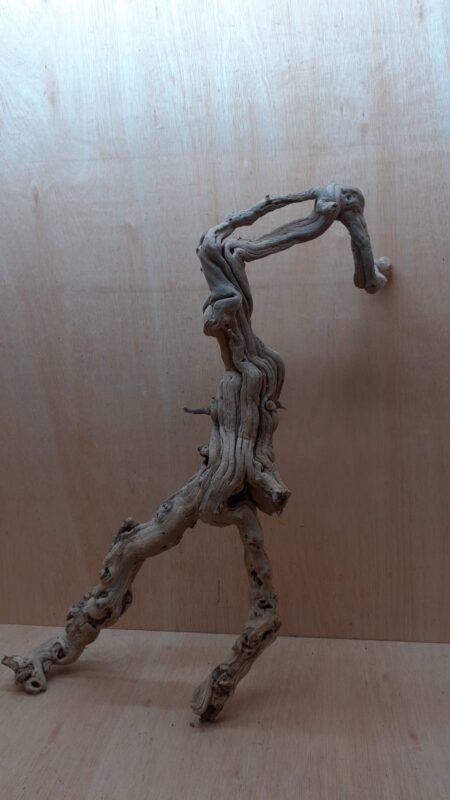 Sandblasted Grapevine - XL 5