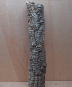 Medium Cork Tube - 80-110cm - 4