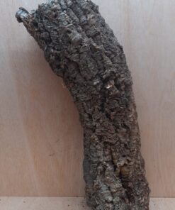 Medium Cork Tube - 40-60cm - 5