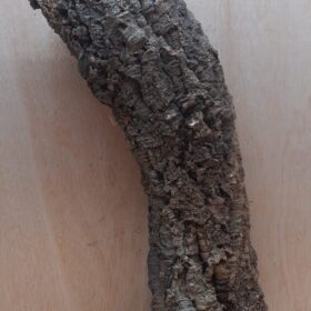 Medium Cork Tube - 40-60cm - 5