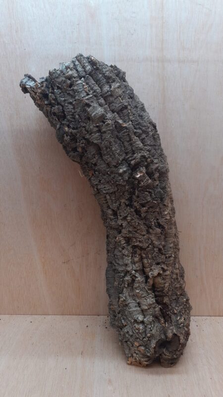 Medium Cork Tube - 40-60cm - 5