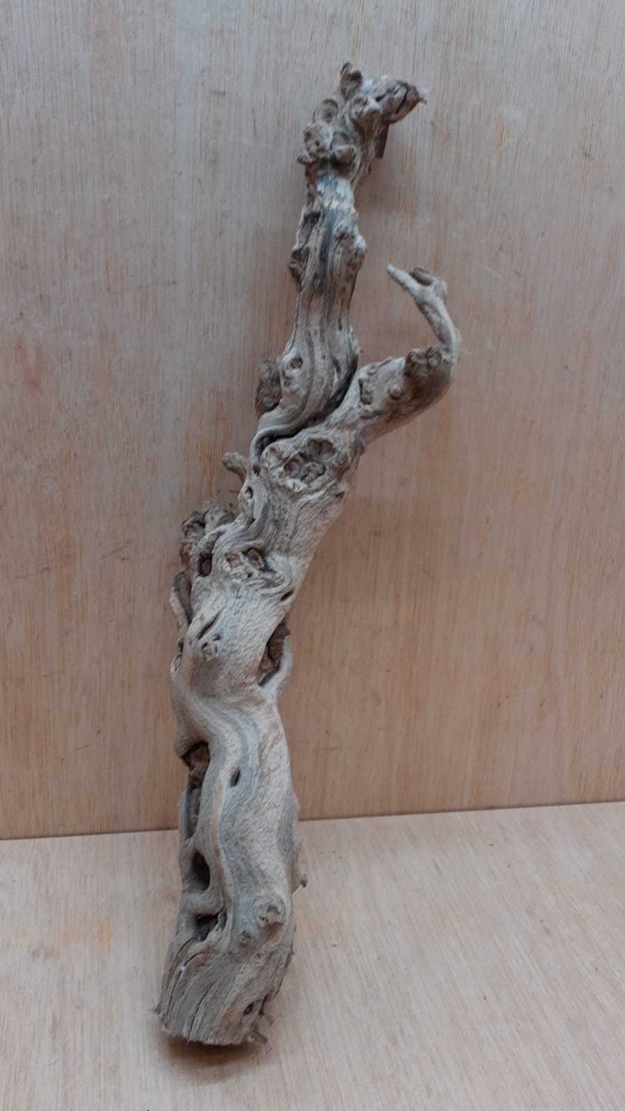 Sandblasted Grapevine - Small 6