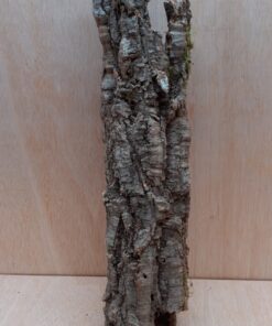 Small Cork Tube - 40-60cm - 6