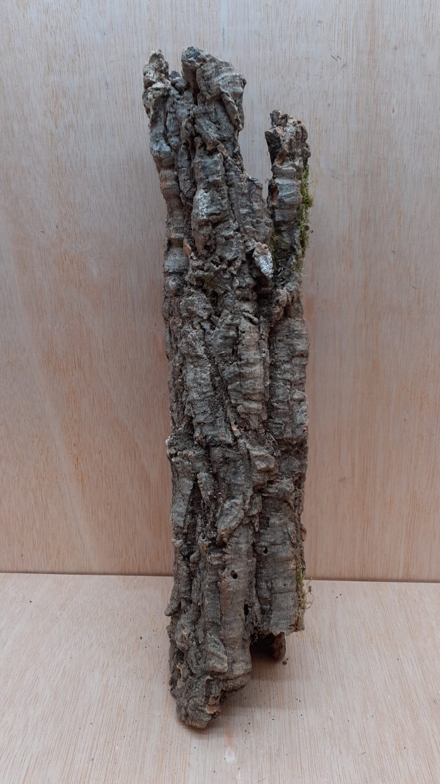 Small Cork Tube - 40-60cm - 6