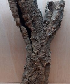 Large Cork Tube - 60-80cm - 6