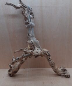 Sandblasted Grapevine - Large 7