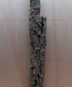 Small Cork Tube - 60-80cm - 7