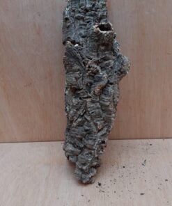 Small Cork Tube - Upto 40cm - 7