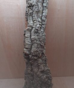 Medium Cork Tube - 80-110cm - 7