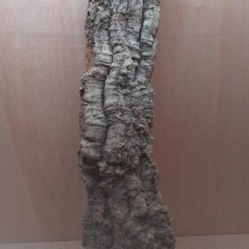 Medium Cork Tube - 80-110cm - 7