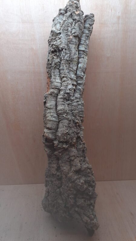 Medium Cork Tube - 80-110cm - 7