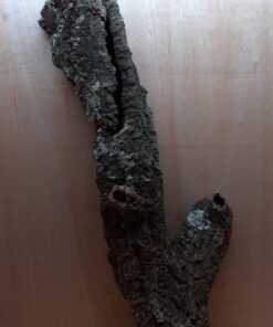 Large Cork Tube - 80-110cm - 8