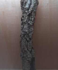 Medium Cork Tube - 80-110cm - 8