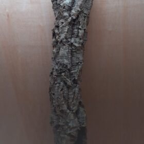 Medium Cork Tube - 80-110cm - 8