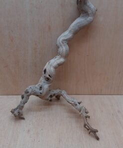 Sandblasted Grapevine - Medium 8