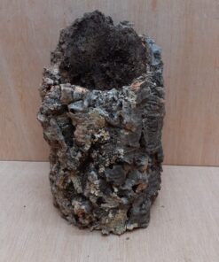 Medium Cork Tube - Upto 40cm - 8