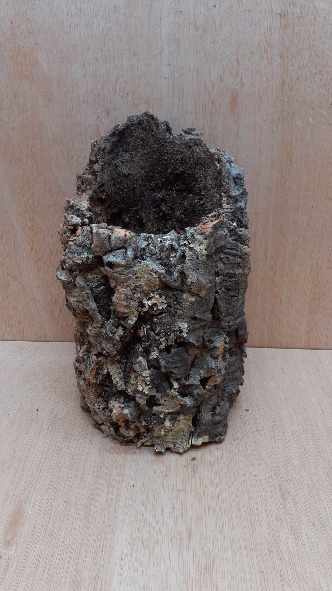 Medium Cork Tube - Upto 40cm - 8