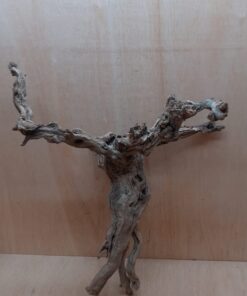 Sandblasted Grapevine - Large 9