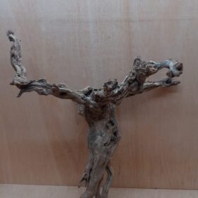 Sandblasted Grapevine - Large 9