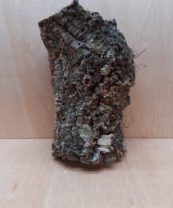 Large Cork Tube - Upto 40cm - 9