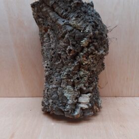 Large Cork Tube - Upto 40cm - 9