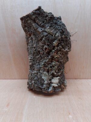 Large Cork Tube - Upto 40cm - 9