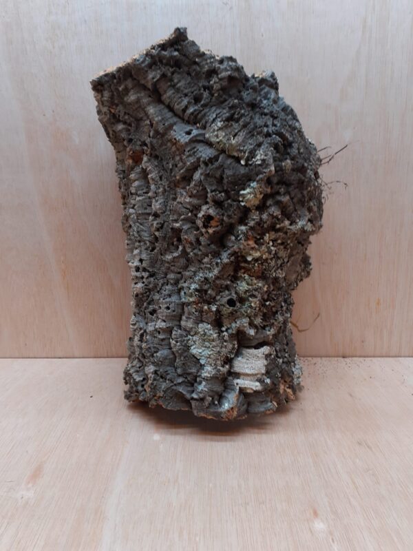 Large Cork Tube - Upto 40cm - 9