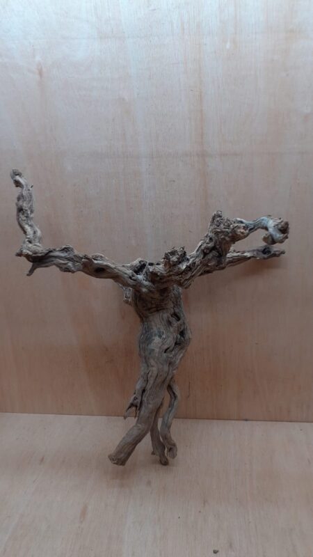 Sandblasted Grapevine - Large 9