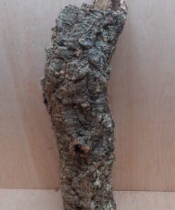 Medium Cork Tube - 40-60cm - 9