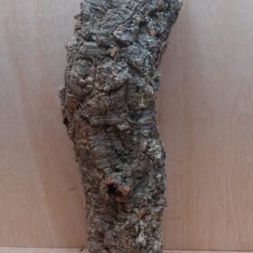 Medium Cork Tube - 40-60cm - 9