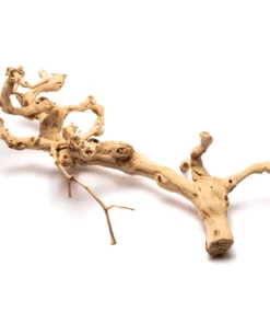 Sandblasted Grapevine