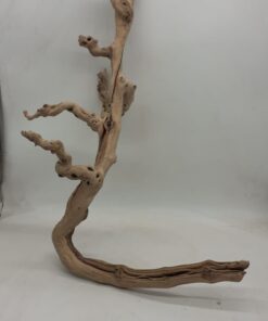 Sandblasted Grapevine - Large 11