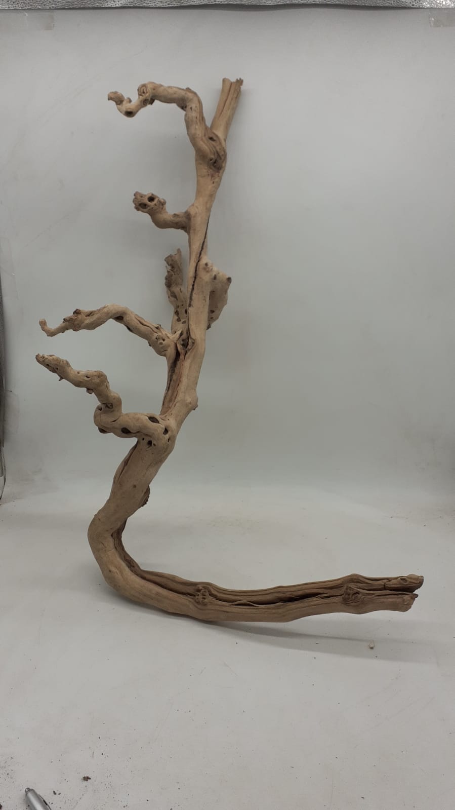 Sandblasted Grapevine - Large 11