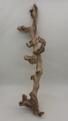 Sandblasted Grapevine - Large 5