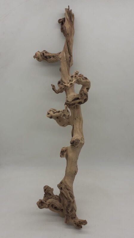 Sandblasted Grapevine - Large 5