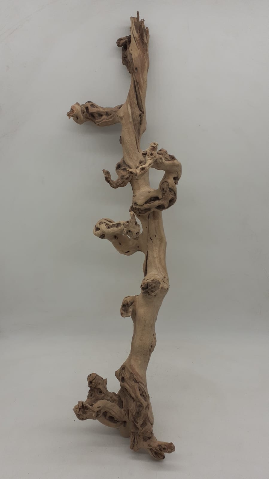 Sandblasted Grapevine - Large 5