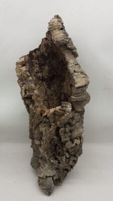 Large Cork Tube - 60-80cm - 4