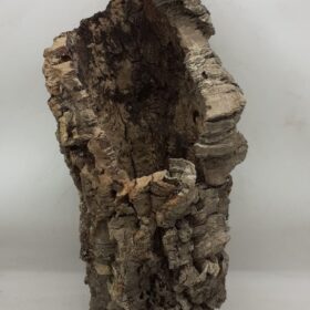 Large Cork Tube - 60-80cm - 4