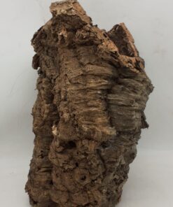 Large Cork Tube - 40-60cm - 5