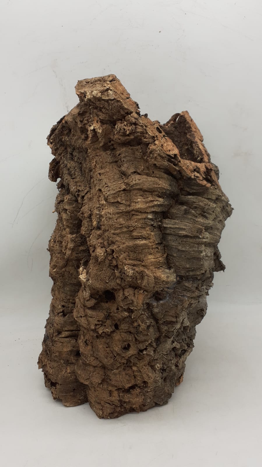 Large Cork Tube - 40-60cm - 5