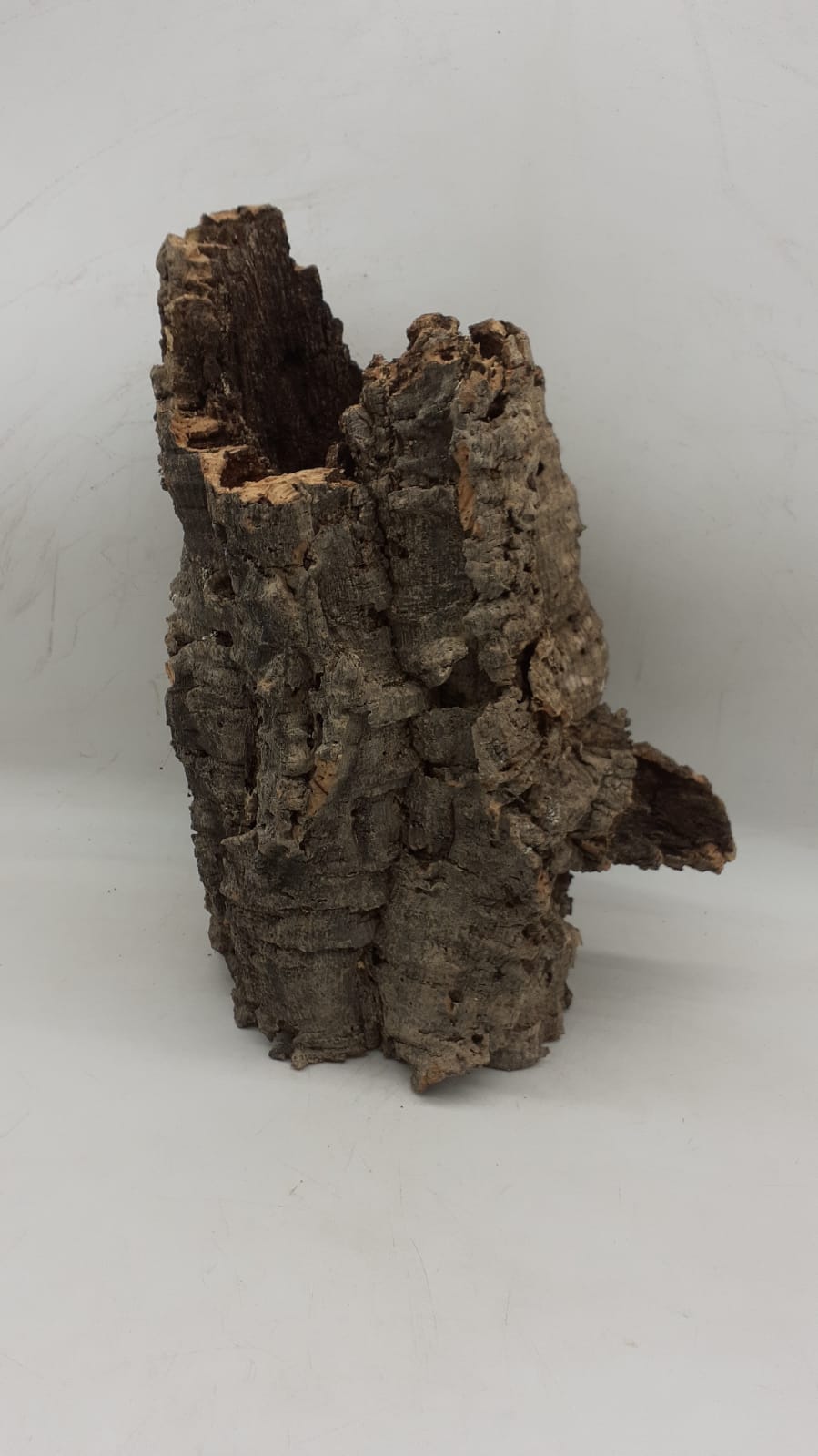 Medium Cork Tube - Upto 40cm - 2