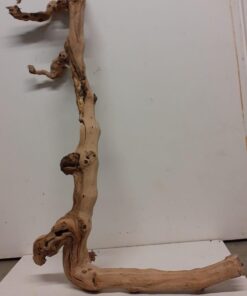 Sandblasted Grapevine - XL 3