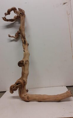 Sandblasted Grapevine - XL 3