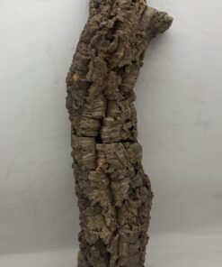 Medium Cork Tube - 60-80cm - 8