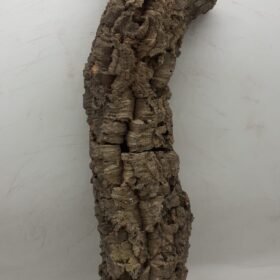 Medium Cork Tube - 60-80cm - 8